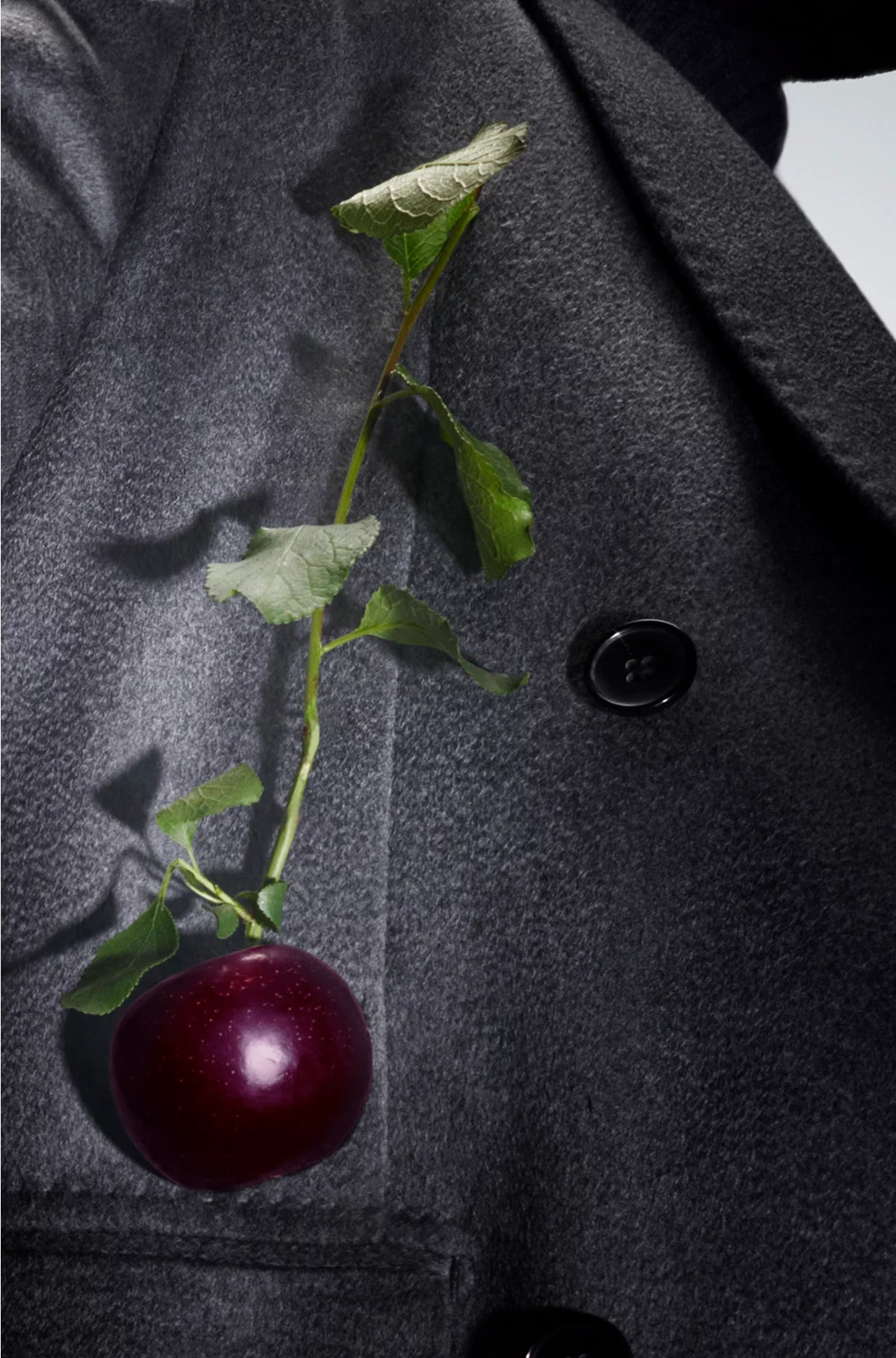 THE COLLECTION BOLD INCENSE EAU DE PARFUM