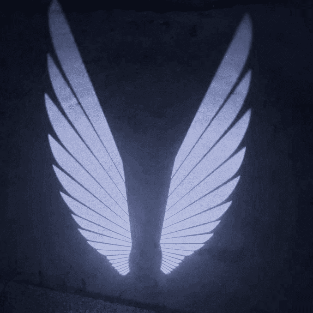 Angel Wings Puddle Lights Universal